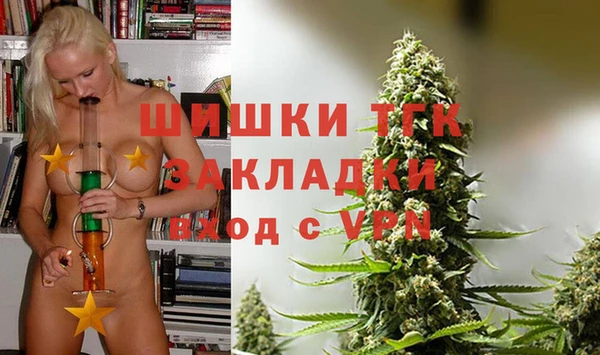 молекула духа Балахна
