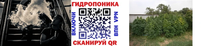 Бошки марихуана VHQ  Ивангород 